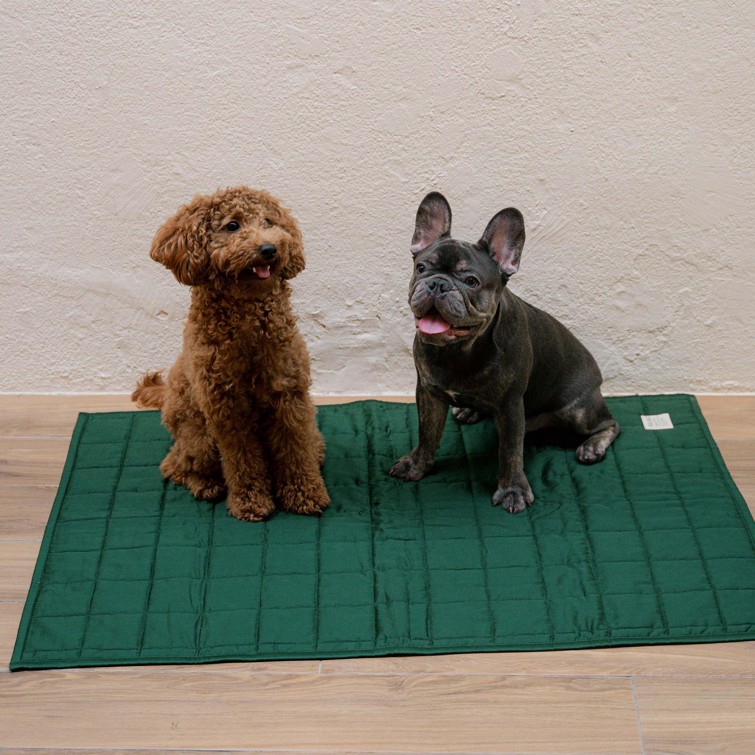 organic-cotton-pet-quilt-in-forest-colour-with-maltipoo-and-frenchie-by-sojao