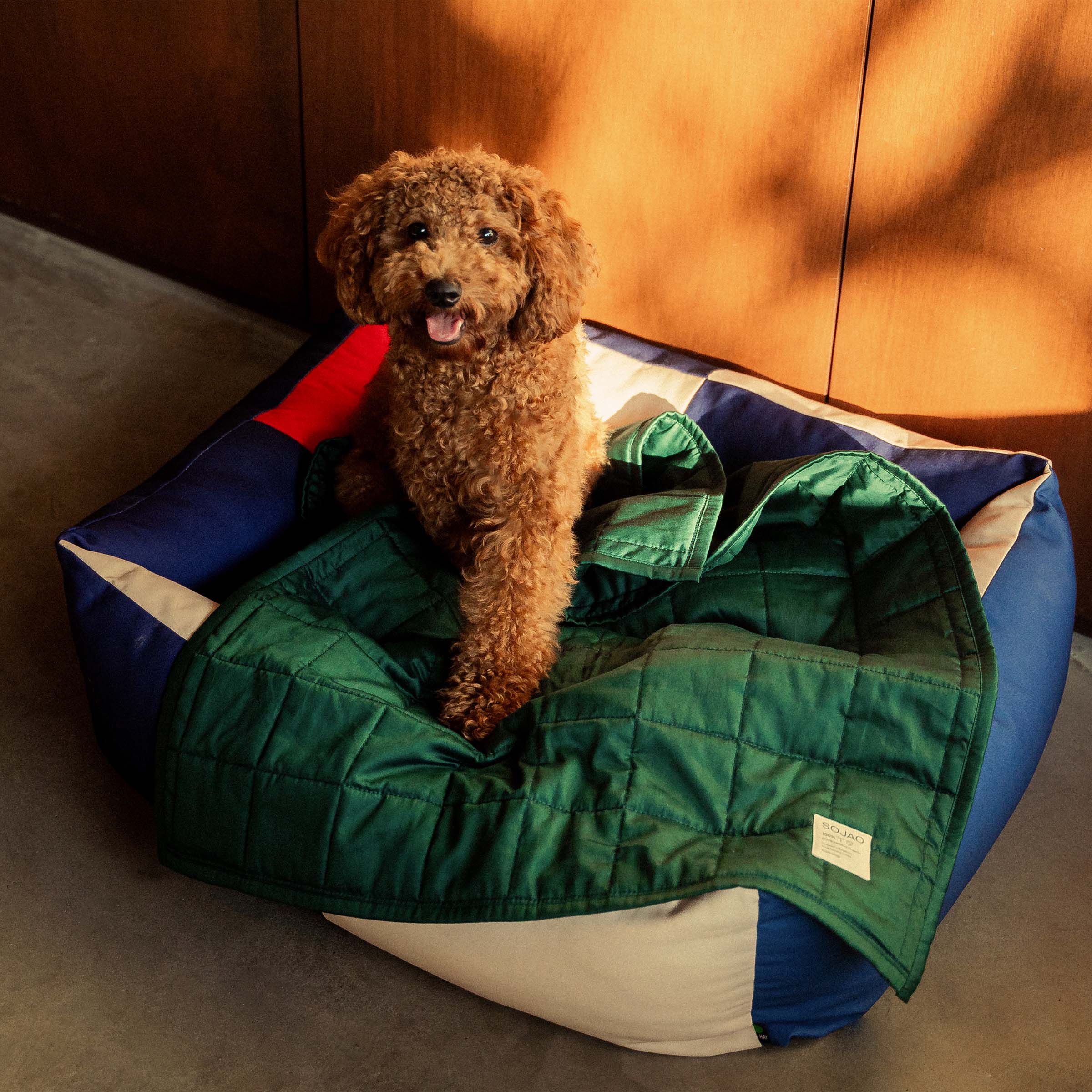 organic-cotton-pet-quilt-in-forest-colour-on-the-dog-bed-with-maltipoo-by-sojao